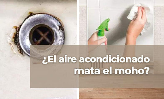 ¿El aire acondicionado mata el moho?